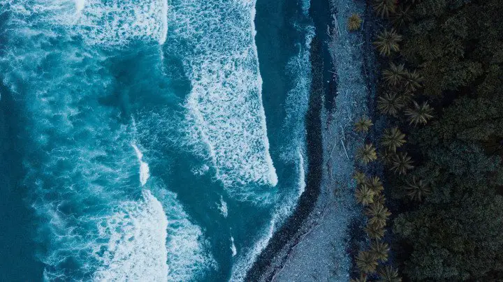 Dominica Meer
