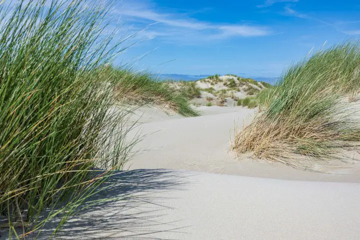 Norderney sommer