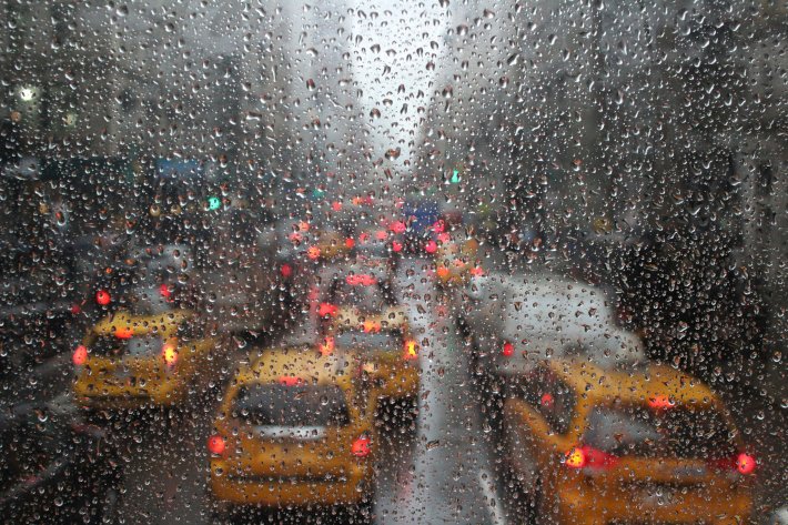 New York Regen