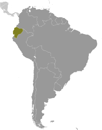 Ecuador Karte