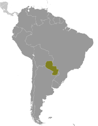 Paraguay Karte