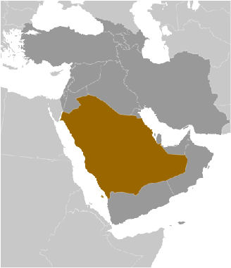 Saudi-Arabien Karte