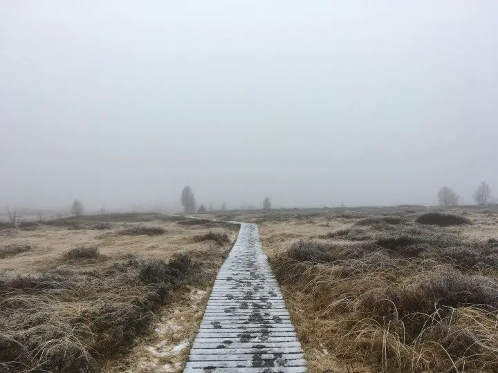 Belgien Nebel