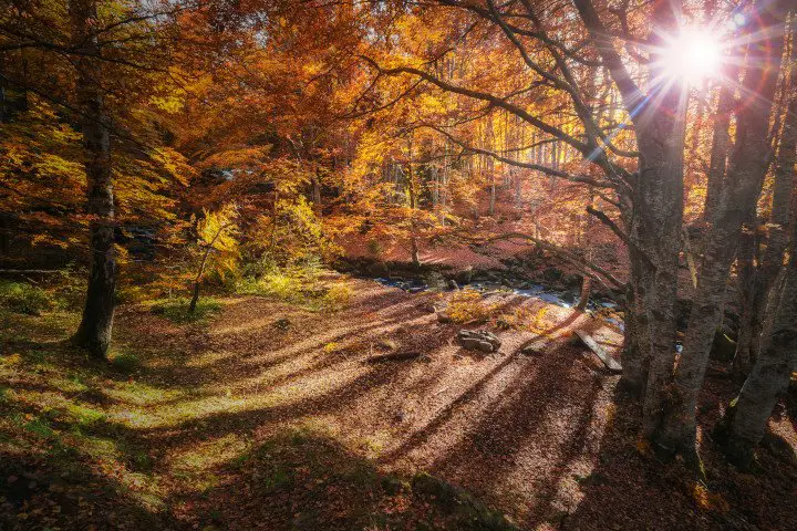 Bulgarien Herbst