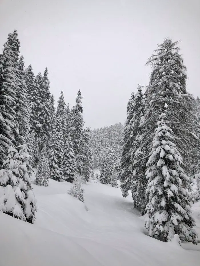 Südtirol Winter